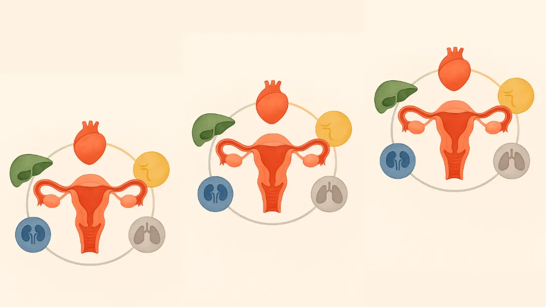 Menstrual and Fertility Health Menstruation and Fertility